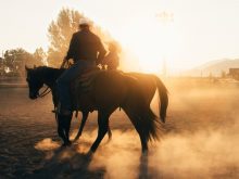 How we connect with others, such as our parents, depends on variables including our cultural backgrounds, our personal styles — and our external stressors.