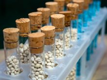 It’s well documented that if a micronutrient is missing or deficient, your expected yield could crash.