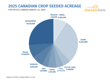 A pie chart showing 2025 Canadian crop seeded acreage, sourced from Statistics Canada