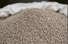 Photo: Getty Images Plus
