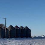 Canola storage requires continued vigilance