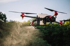 The cons, cons, cons and pros of drone spraying