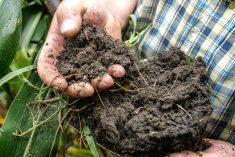 Regenerative agriculture requires change, but there are benefits
