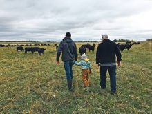 Prairie farmers are adopting sustainable practices but only if they can support the farm’s bottom line.