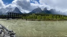 A panorama photo of the Bow River on the west side of Canmore, Alta. The Eastern Slopes form the headwaters of the Bow, Oldman and Red Deer rivers, flowing to the 
South Saskatchewan River.