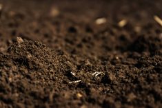 Soil pH can be advise producers on how to improve crop growth and nutrient availability, Manitoba Agriculture experts say.