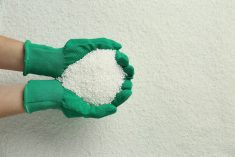 a handful of granular fertilizer for crops