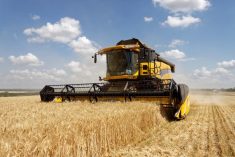 File photo of a combine harvesting a wheat crop in Ukraine. (SergBob/iStock/Getty Images)
