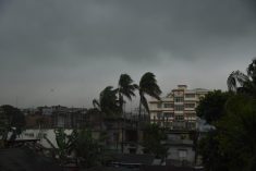 Dark clouds gather in the sky before a thunder shower in Nagaon District, Assam, India, on April 10, 2025. Photo: Anuwar Hazarika/NurPhoto
