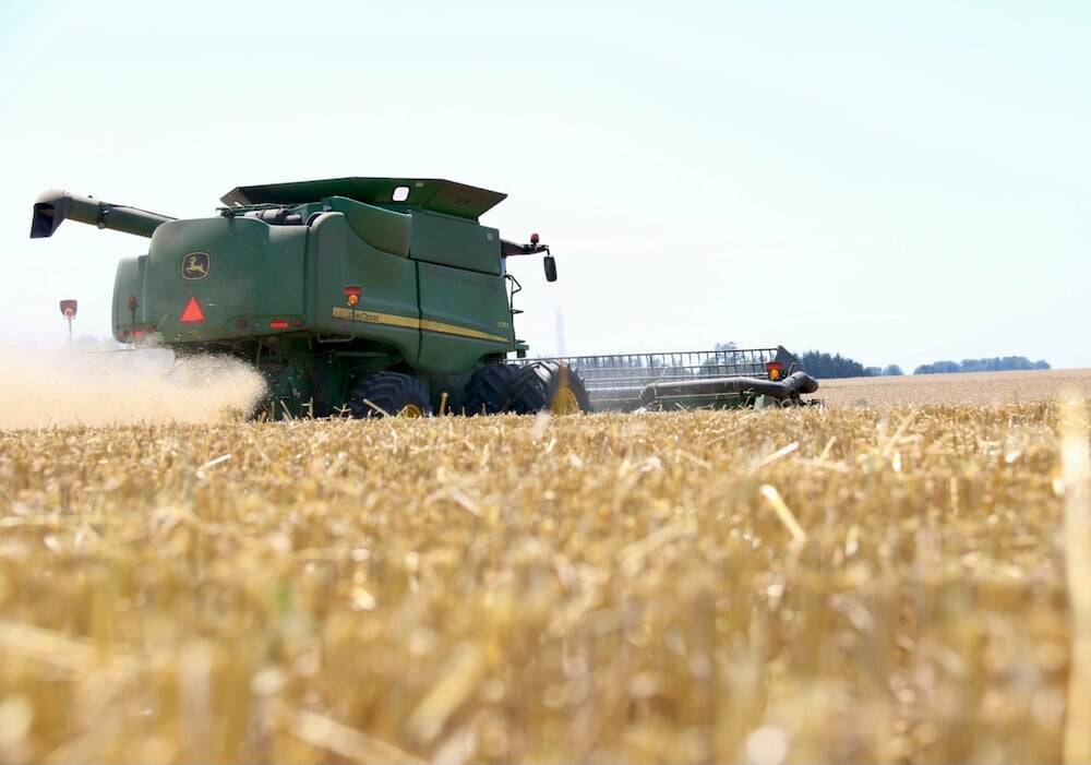 wheat harvest