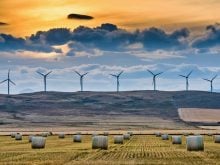 alberta farmland and wind turbines