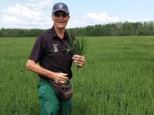 Ron Tone started his own independent agronomy business in 1996 following a 17-year farming career in southern Manitoba.
