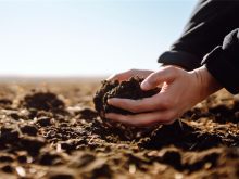 soil in farm field
