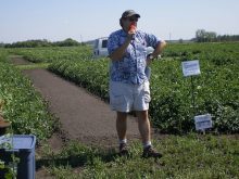 Tenuta can often be spotted at field days in a Hawaiian shirt, enthusiastically presenting new soil research or chatting with farmers.
