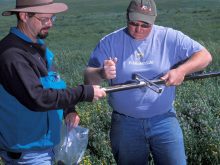 taking soil samples in farm field