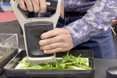 nutriscan plant tissue sample