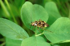 New risks flagged in this year’s ‘Keep it Clean’ list