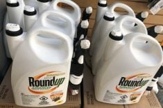 roundup herbicide