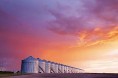 a row of grain bins in saskatchewan