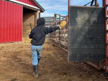 young person working on ranch in canada