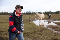 Australian authorities airdrop supplies to farmers stranded by flood crisis
