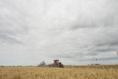 Value of Canadian farmland ‘robust’ but cracks are appearing