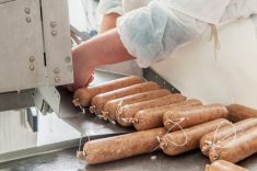 Sausage making