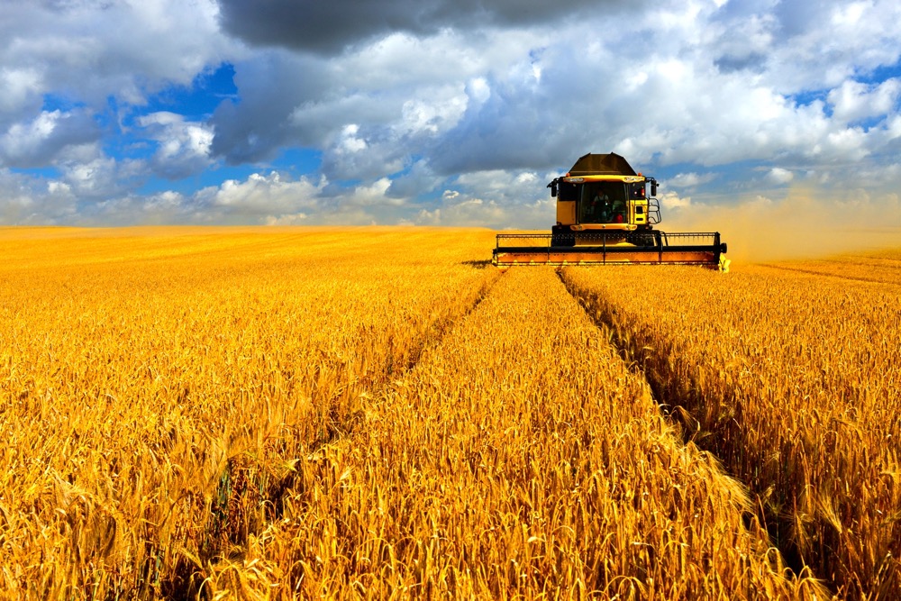 Markets are quieter-than-normal as farmers continue to be busy with harvest operations. Photo: Thinkstock
