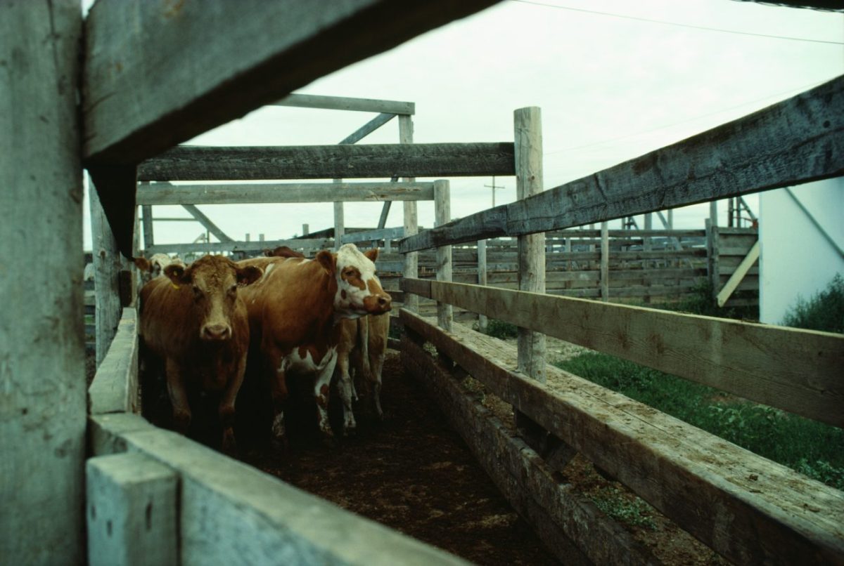 Photo: Photos.com/Getty Images Plus
