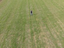 aerial photo of farmer standing in field