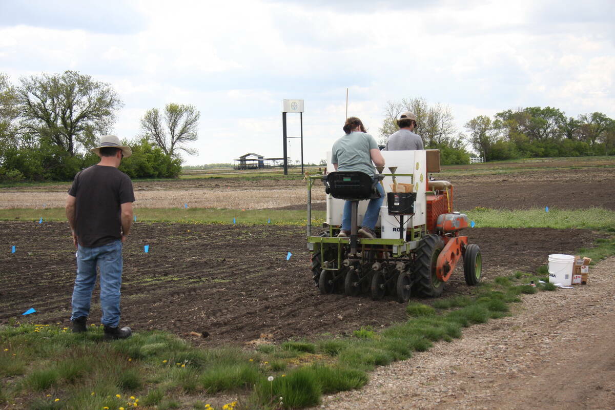 AAFC crop plots at Ag in Motion, May 2025