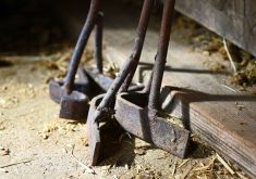 cattle branding equipment in the barn