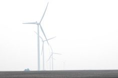 wildfire smoke over windmills at Notre Dame, MB. pic: Alexis Stockford