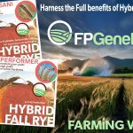 Since introducing Hybrid Fall Rye to the Canadian market in 2014, FP Genetics has remained at the forefront of rye innovation, earning a reputation as the trusted voice in the industry. As the original purveyor back in 2014, This Canadian independent brings unmatched longevity, leadership, and deep-rooted expertise to the market 