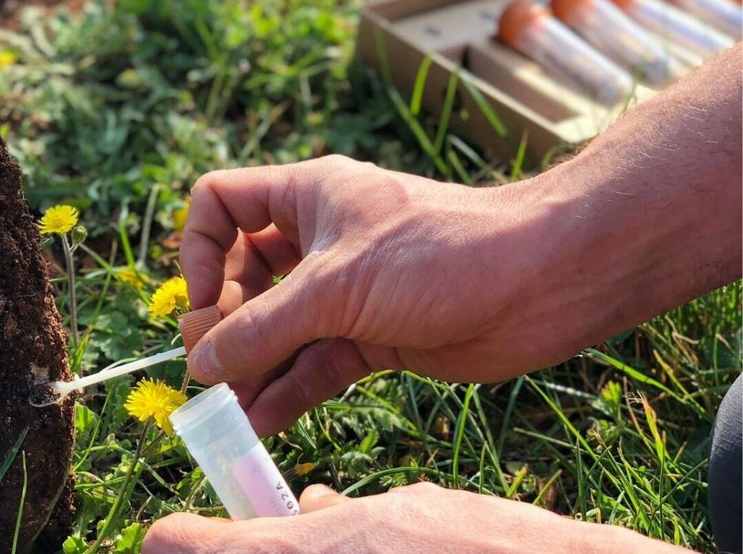 BeCrop soil testing. Photo: BiomeMakers