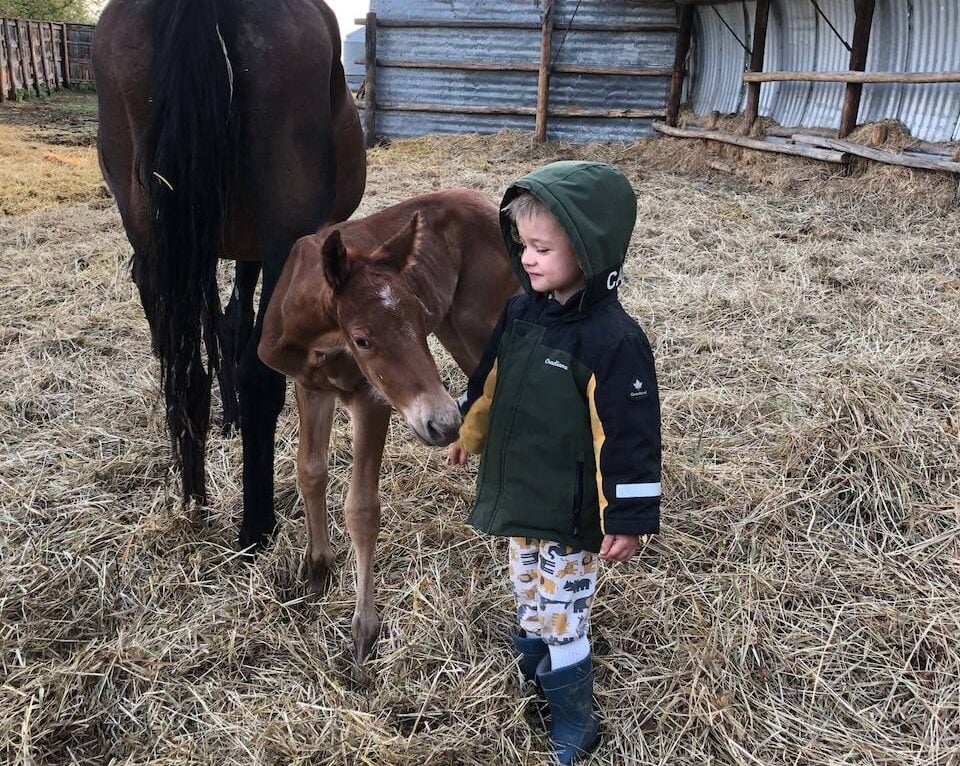 Ian helps with the early morning chores and makes a new friend. Photo: Heather Eppich