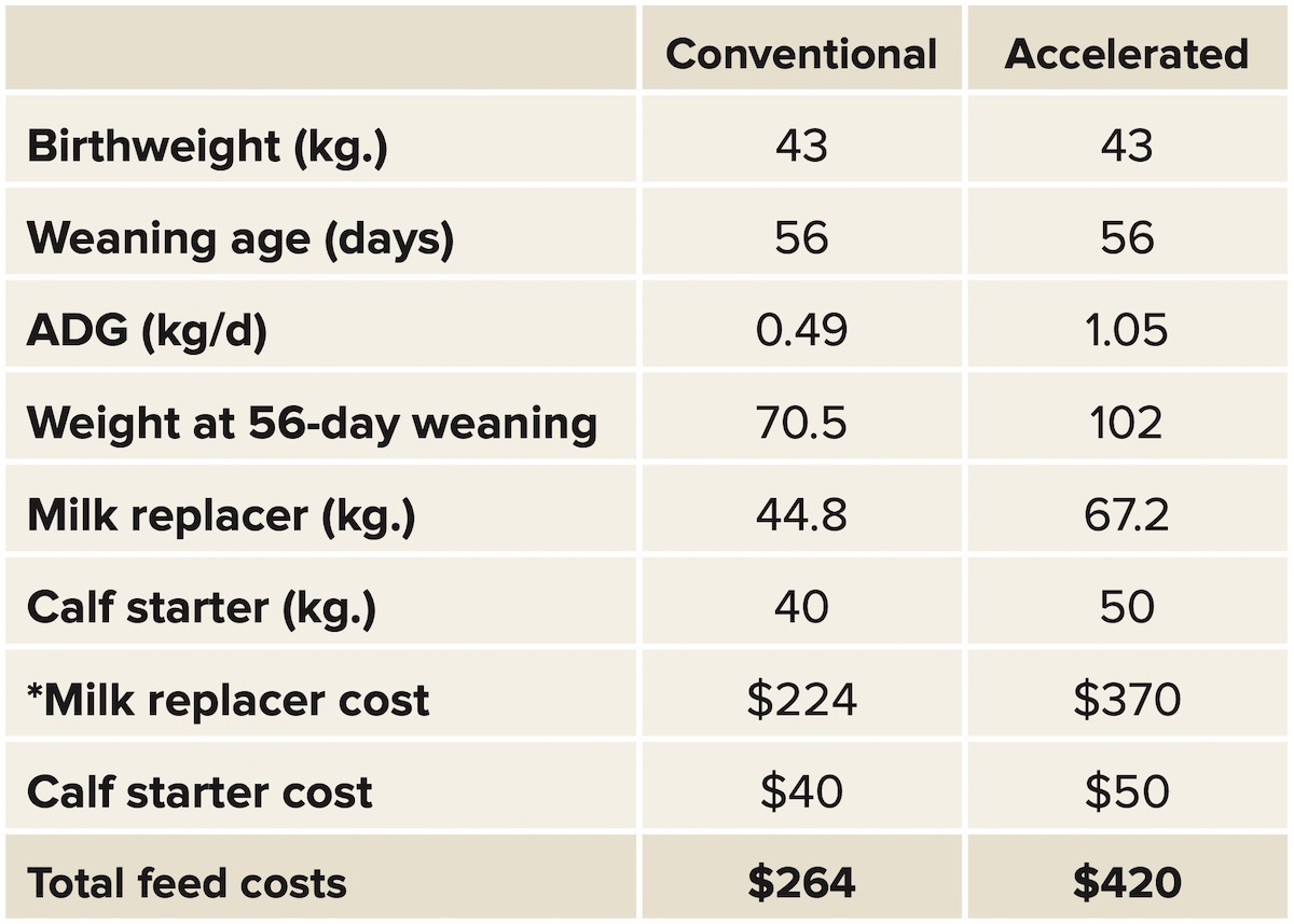 A comparison of regular and accelerated milk replace program costs.