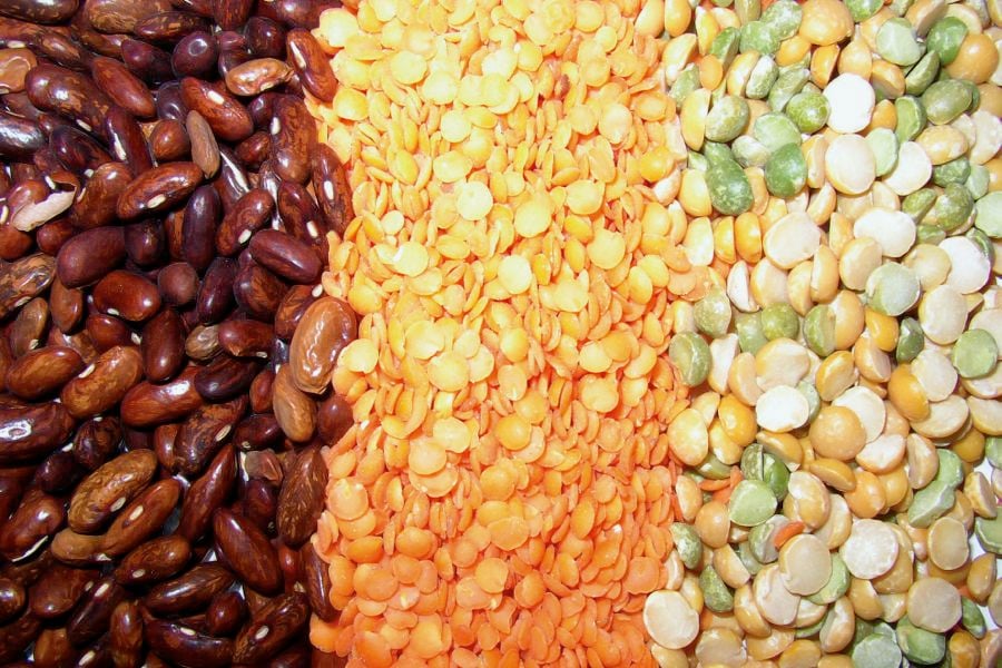 Demand for organic pulses had been steadily rising before the COVID-19 outbreak, but supply chains are prepared to meet the new demand. Photo: File
