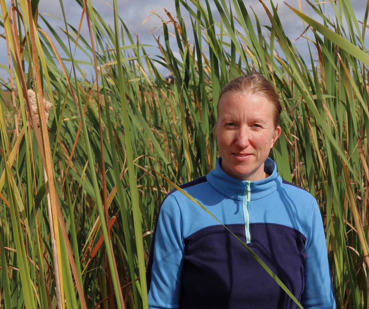 Agriculture and Agri-Food Canada research scientist Audrey Murray is studying constructed wetlands in Prince Edward Island and hopes they can be used to treat dairy farm wastewater in Alberta.
