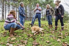 A neighbor stops to tell a story to a father and his three daughters a their dog on a fall day. TerryJ/E+/Getty Images