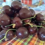 Sweet cherries are one of summer’s most cherished fruits.
