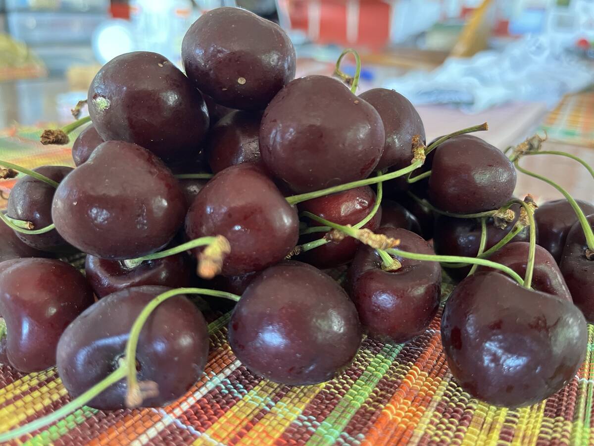 Sweet cherries are one of summer’s most cherished fruits.