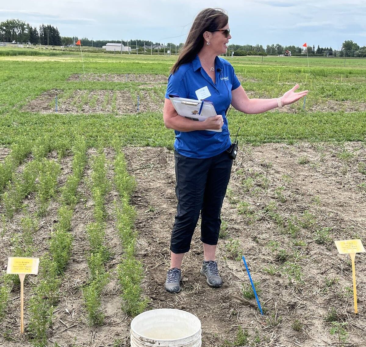 Robyne Davidson, a pulse research scientist at Lakeland College, talks shop about the benefits and challenges of growing domestic lupins for pulse crop rotations, during a field school tour at Farming Smarter, near Lethbridge. Pic: Greg Price
