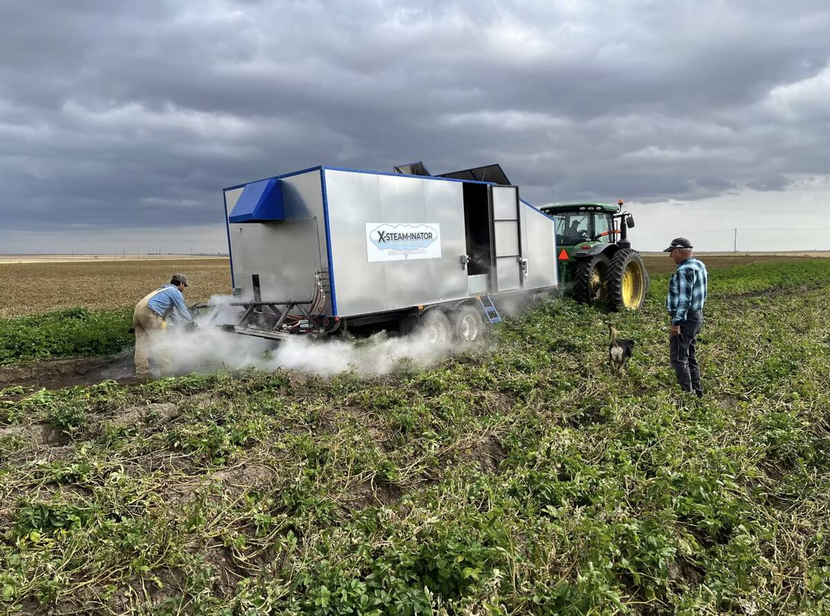 Testing the X-Steam-inator for potato desiccation near Riverhurst, Saskatchewan in September 2022. Pic: Xsteaminator.ca