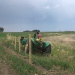 Gregory runs wire from the tractor for the new cross fence. Photo: Heather Eppich