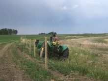 Gregory runs wire from the tractor for the new cross fence. Photo: Heather Eppich