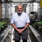 Leon Kochian, Canada Excellence Research Chair in Global Food Security at the University of Saskatchewan received a fellowship from the Royals Society of Canada. Kochian has spent four decade studying root architecture. Photo: Erin Matthews/University of Saskatchewan