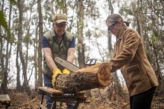 Father and daughter cutting wood together in a forest in California. Pic: Adamkaz/E+/Getty Images