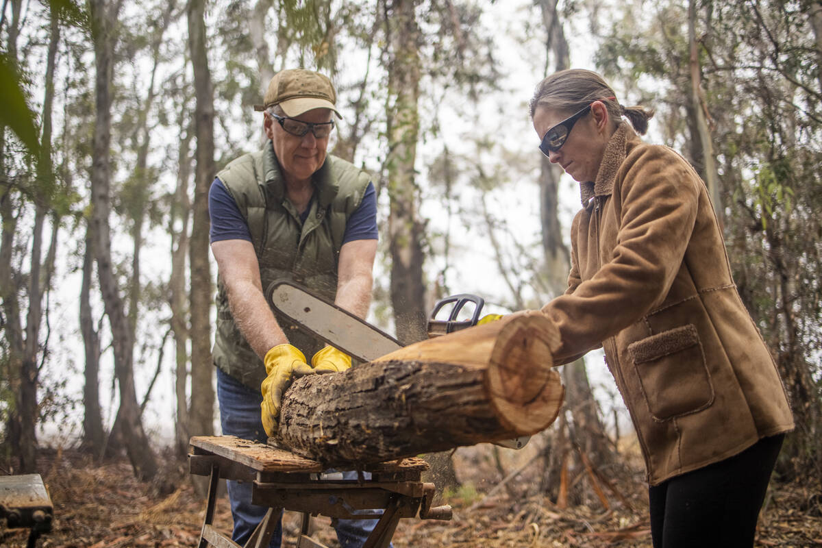 Father and daughter cutting wood together in a forest in California. Pic: Adamkaz/E+/Getty Images