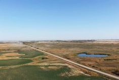 Aerial shot of the Gray farm. PHOTO: WSA